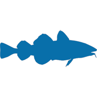 cod and mackeral trade