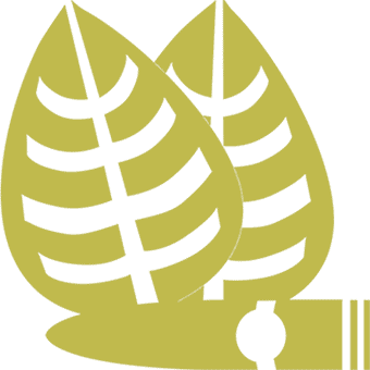 cigars, snuff, tobacco